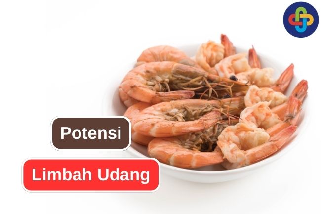 6 Pemanfaatan Limbah Udang dalam Berbagai Bidang